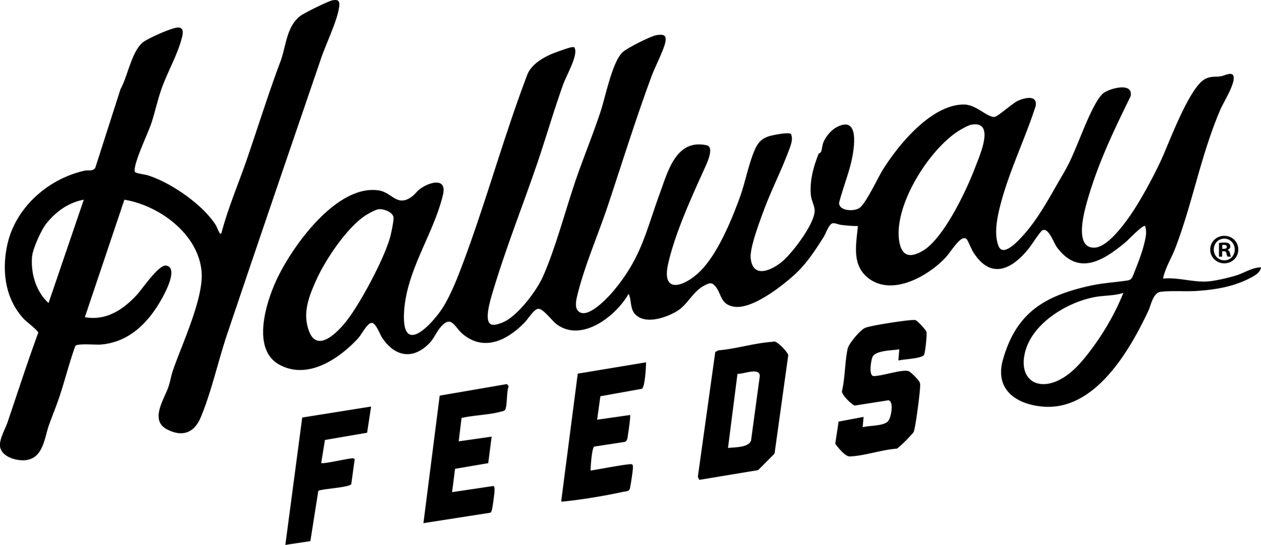 Hallway Feeds Logo